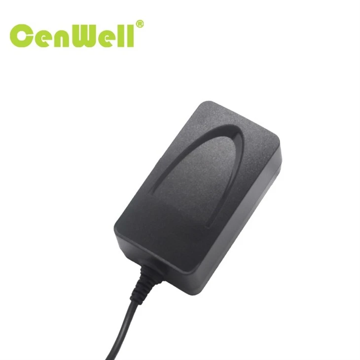 China Factory 24V 2A 12V 4A 48W SAA Wall Mount Adapter price